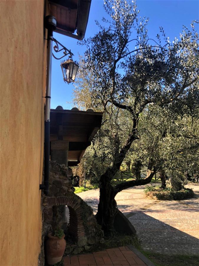 Villa Depandance, Casale l'Antica Mola Castel Madama Exterior foto