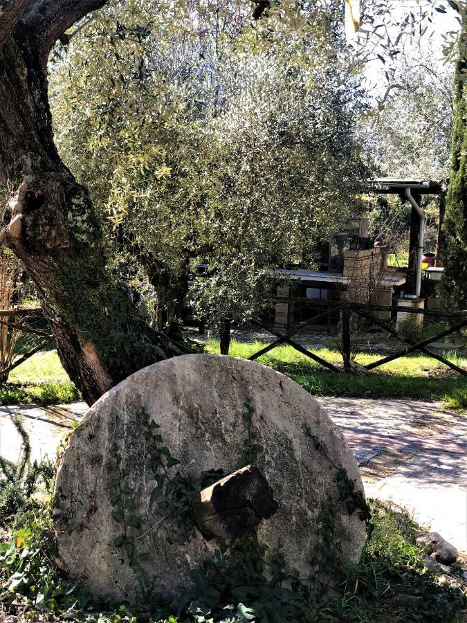 Villa Depandance, Casale l'Antica Mola Castel Madama Exterior foto